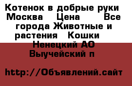 Котенок в добрые руки. Москва. › Цена ­ 5 - Все города Животные и растения » Кошки   . Ненецкий АО,Выучейский п.